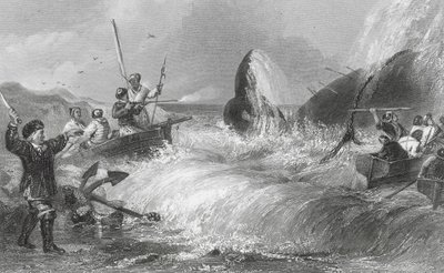 La Balena a Riva da H. Melville
