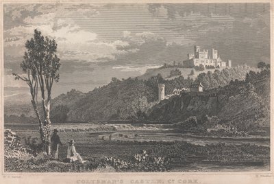 Castello di Coltman, Co. Cork; pagina 70 (Volume Uno) da H. Winkles