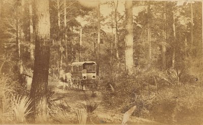 Scena a Folly Island da Haas and Peale