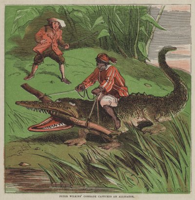 Il compagno di Peter Wilkins cattura un alligatore (litografia a colori) da after Hablot Knight Browne