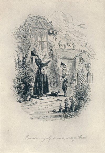 Mi faccio conoscere da mia zia. Incisione da David Copperfield, c1840-1880, 1923 da Hablot Knight Browne