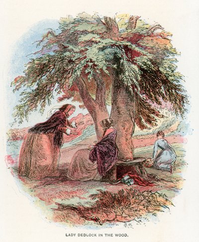 Illustrazione per Casa Desolata da Hablot Knight Browne