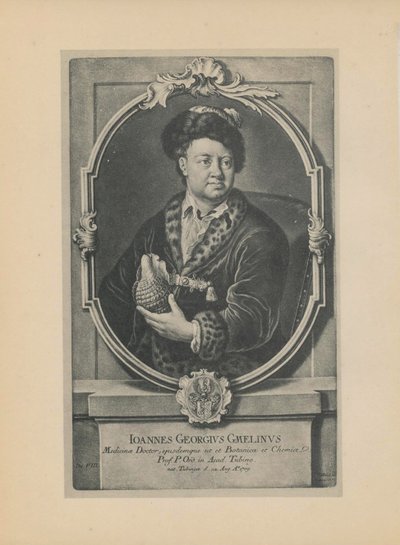 Ritratto del naturalista, botanico e geografo Johann Georg Gmelin 1709-1755, metà del XVIII secolo da Haid