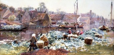 Cavolfiori per la Conservazione da Hamilton Macallum
