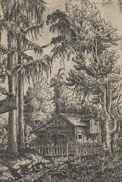 Una capanna e due pini da Hanns Sebald Lautensack