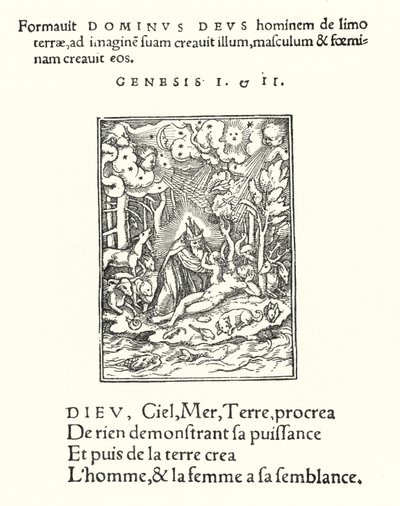 La Creazione da Hans (after) Holbein the Younger