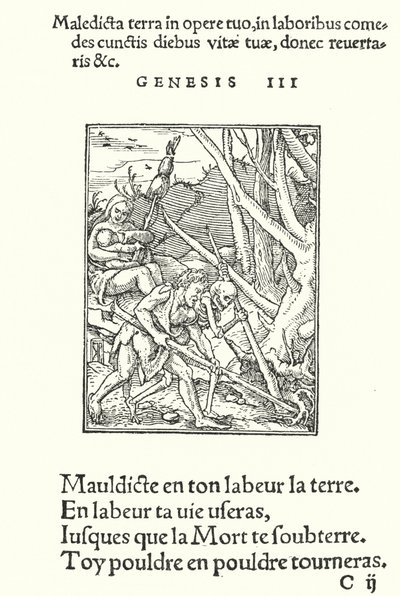 La maledizione sulla Terra e sull