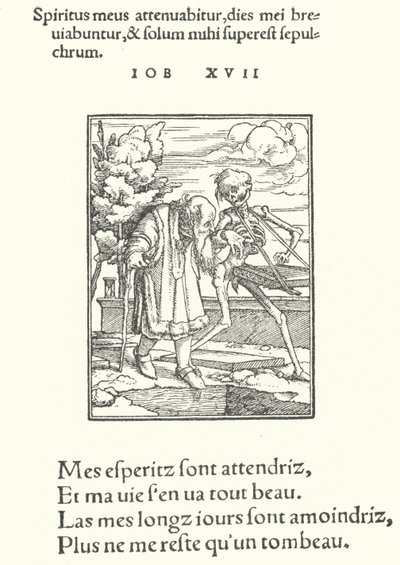 Il vecchio da Hans (after) Holbein the Younger