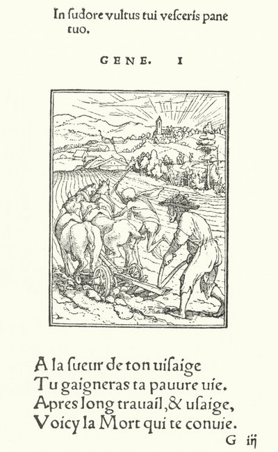 Il contadino da Hans (after) Holbein the Younger