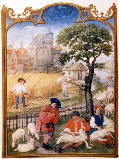 Lavoro nei campi, tosatura delle pecore e contadini che mietono il grano. Miniatura attribuita a Memling. Tavola tratta dal Breviario Grimani del XV secolo. Biblioteca Marciana, Venezia da Hans (attr.to) Memling