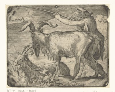 Ragazzo con capre da Hans Aarsen (signed by artist)