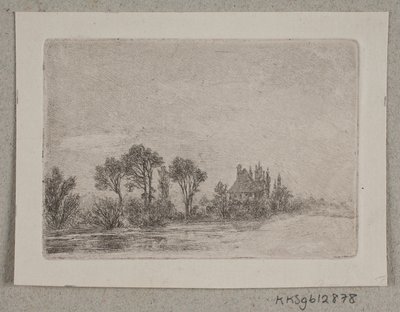 Paesaggio con alberi vicino a un