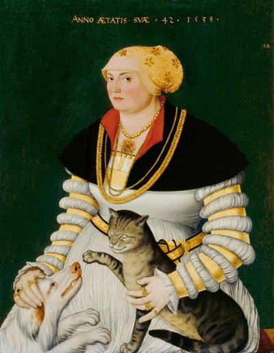 Ritratto di Cleophea Holzhalb, nata Krieg von Bellikon di Asper, Hans (1499-1571). Olio su legno da Hans Asper