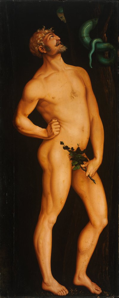 Adamo da Hans Baldung