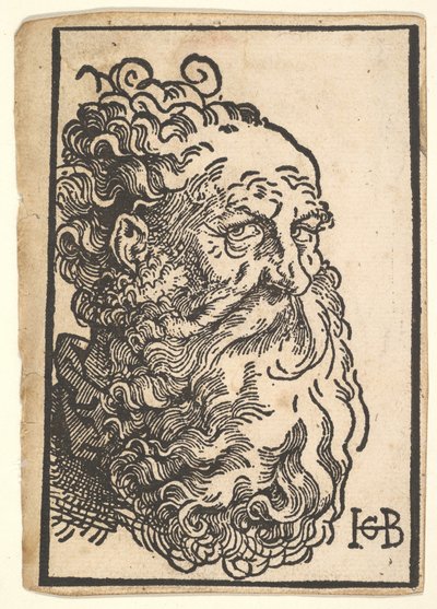 Testa di un uomo barbuto da Hans Baldung
