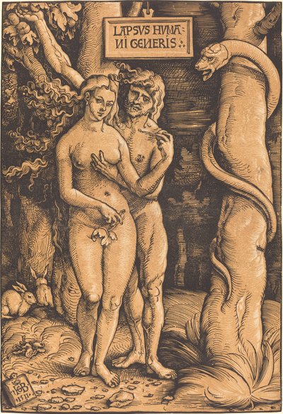 Adamo ed Eva da Hans Baldung Grien
