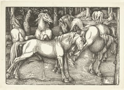 Gruppo di sei cavalli che combattono da Hans Baldung Grien