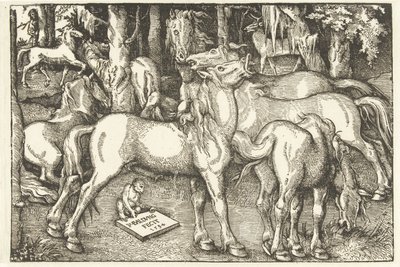 Gruppo di sette cavalli e una scimmia da Hans Baldung Grien