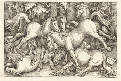 Gruppo di sette cavalli in lotta da Hans Baldung Grien
