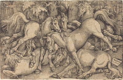 Gruppo di sette cavalli nei boschi da Hans Baldung Grien