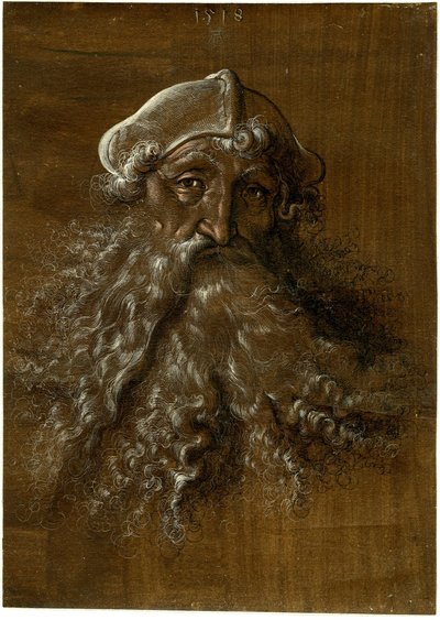 Testa di un uomo anziano con barba pesante da Hans Baldung Grien