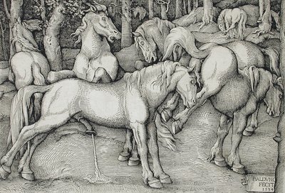 Uno stallone e una giumenta che scalcia in mezzo a un gruppo di cavalli selvatici nel bosco da Hans Baldung Grien