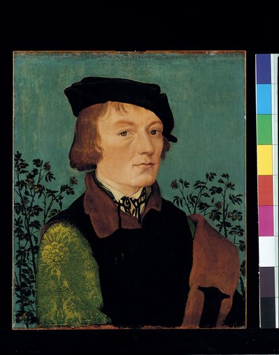 Ritratto Di Un Uomo Davanti A Una Siepe Di Rose da Hans Baldung Grien