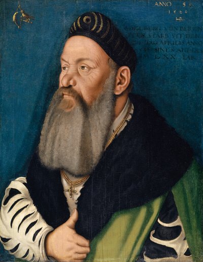 Ritratto di Adelberg III von Bärenfels, 1526 da Hans Baldung Grien