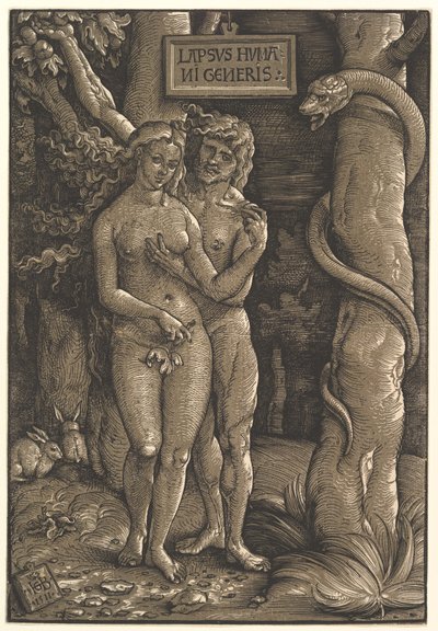 La caduta dell