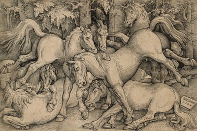 Cavalli selvaggi che combattono da Hans Baldung Grien