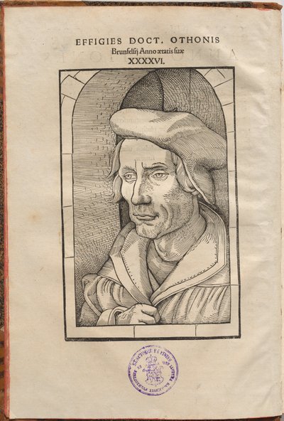 Annotationes Othonis Brunfelsii...in quatuor Euangelia & Acta Apostolorum... da Hans Baldung Grien, Otto Brunfels
