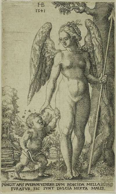 Cupido Porta un Favo di Miele a Venere da Hans Brosamer