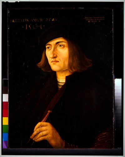 Ritratto di un Uomo da Hans Burgkmair