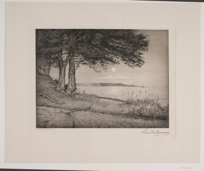 Fiordo di Vejle da Hans Christian Gether Caspersen