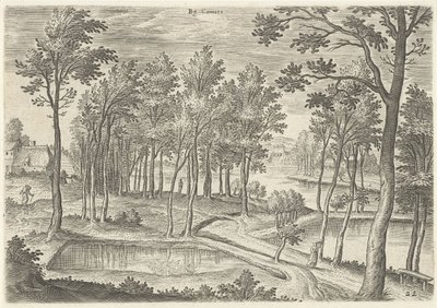 Veduta degli stagni di Ter Kameren da Hans Collaert (I)