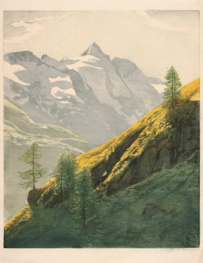 Paesaggio di montagna da Hans Frank
