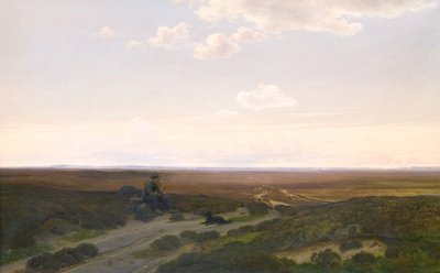 Veduta delle brughiere di Pårup vicino a Silkeborg, Jutland da Hans Friis