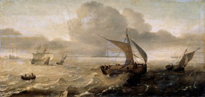 Mare tempestoso da Hans Goderis
