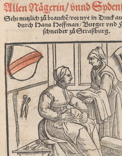 Nuovo Modello per tutte le ricamatrici e ricamatrici di seta, pagina del titolo, 1r da Hans Hoffman