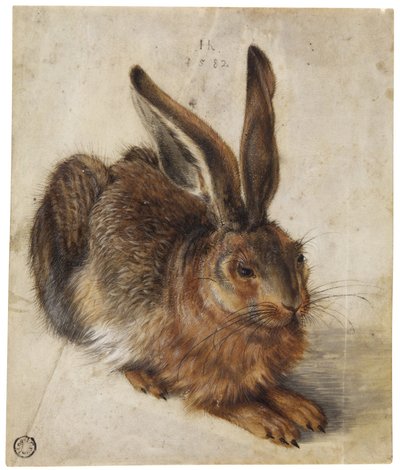 Una lepre da Hans Hoffmann