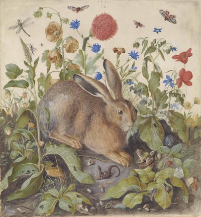 Una lepre tra le piante, 1582 da Hans Hoffmann