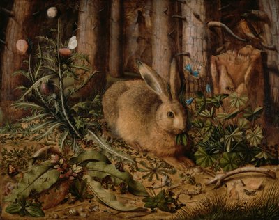 Una lepre nella foresta da Hans Hoffmann