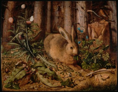 Una lepre nella foresta, ca 1585 da Hans Hoffmann