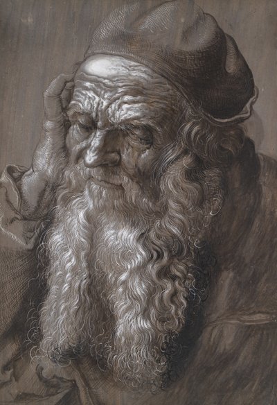 Un vecchio di 93 anni: San Girolamo (pennello e inchiostro) da Hans Hoffmann