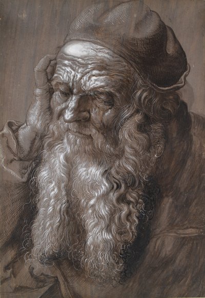Un vecchio di 93 anni San Girolamo da Hans Hoffmann