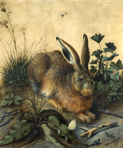 Lepre da Hans Hoffmann