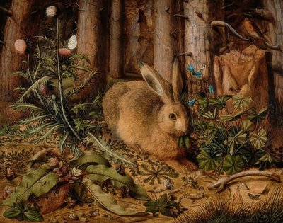 Lepre nel Bosco, c. 1585 da Hans Hoffmann