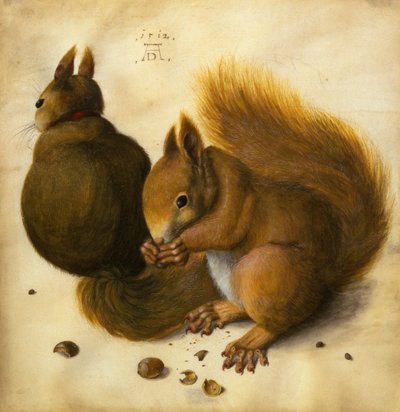 Due scoiattoli, uno che mangia una nocciola da Hans Hoffmann