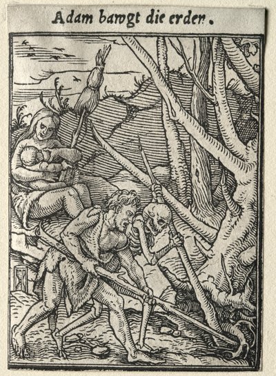 Danza della Morte: Adamo che ara il terreno da Hans Holbein