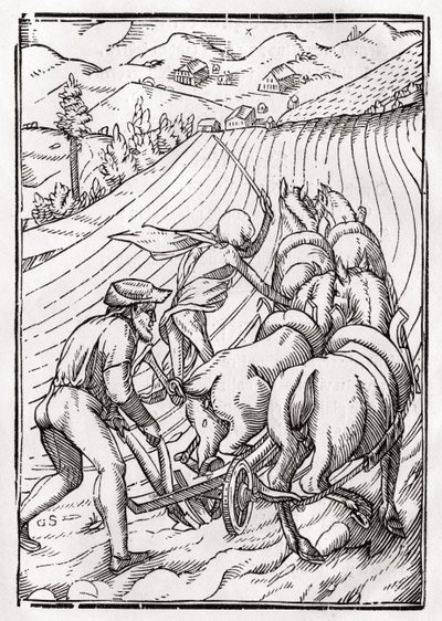 La Morte arriva per il Contadino, inciso da Georg Scharffenberg, da 